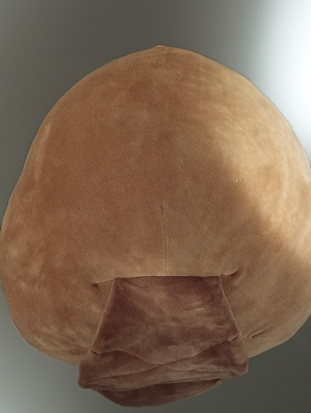 16" Chip The Beaver Squishmallow - Picture 2 of 2